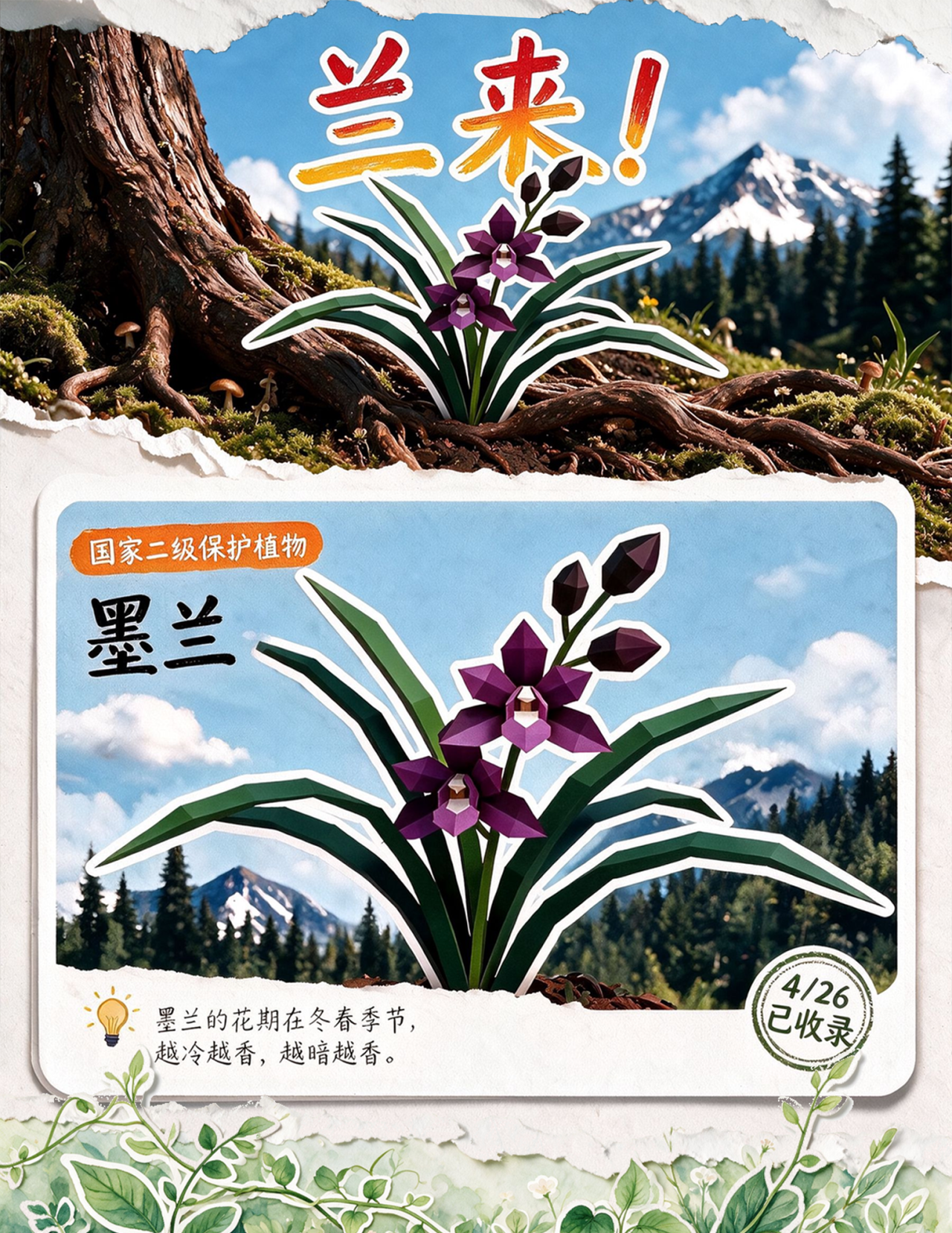 上新 | MR游戏《超级捕手大作战》解码岭南生态，探秘自然万象
