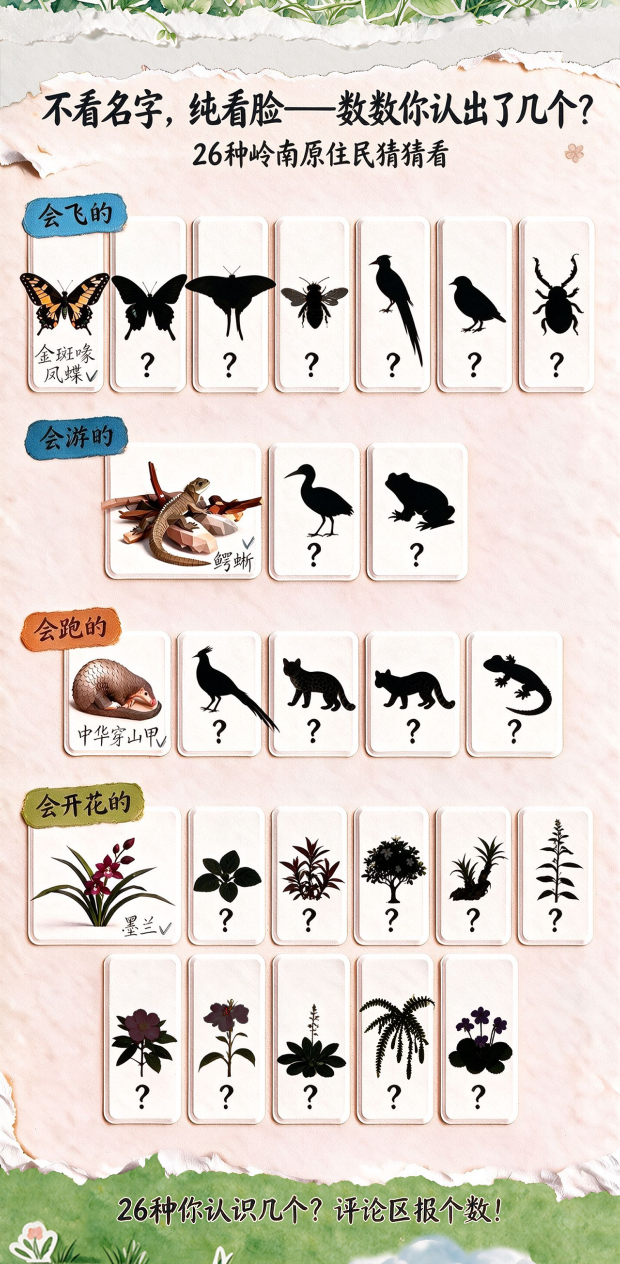 上新 | MR游戏《超级捕手大作战》解码岭南生态，探秘自然万象